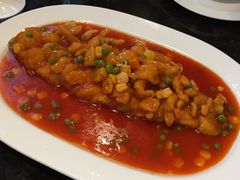 顺德松花鱼-曙光国际大酒店·中餐厅(淮安店)