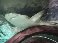 -杭州海底世界