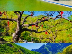 -京东石林峡风景区