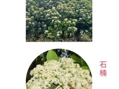 -黄兴公园