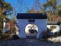 -上海共青森林公园