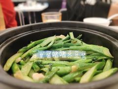 海皇酱啫啫芥兰煲-太兴餐厅(小径湾店)