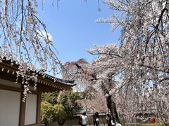 -醍醐寺