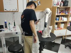 -Oh My Dog宠物沙龙(伊珊娜皮毛护理店)