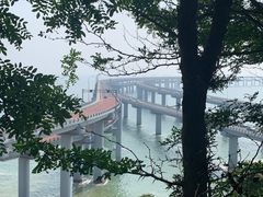 -星海湾跨海大桥