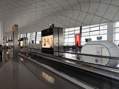 -郑州新郑国际机场-T2航站楼