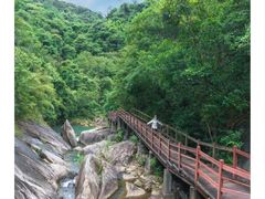 -广州白江湖森林公园