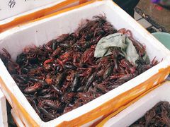 -江杨农产品批发市场