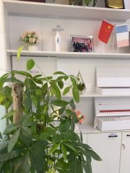 体验前-蕾特恩专业祛痘国际连锁