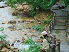 -广州白江湖森林公园