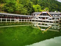 -蝶舞清江·恩施云顶景区(黄鹤峰林)
