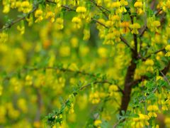 -渭河城市绿地运动公园