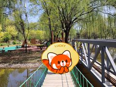 -圣露庄园·亲子活动乐园·露营·团建婚礼