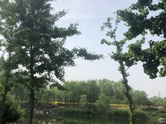 -马家湾湿地公园
