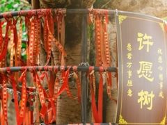 -梅州天地人花园酒店(梅县人民广场店)