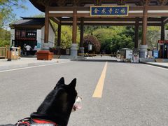 -金龙寺国家森林公园