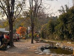 -HERRE·FARM 赫尔露营农场·团建聚会包场