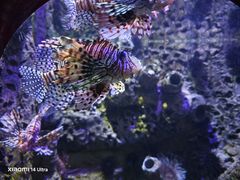 -太平洋海底世界