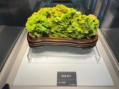 -安徽省地质博物馆