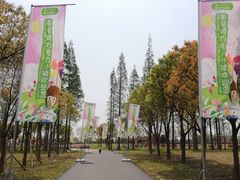 -歌斐颂巧克力小镇