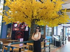 -横琴购口岸商业广场