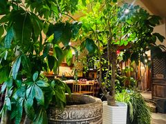 -慢丽江·云南野生菌土鸡锅(付家庄店)