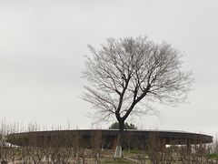 -滆湖低碳生态公园