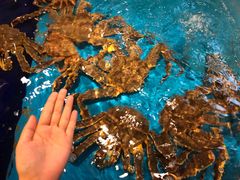 -蟹道乐(道顿堀本店)