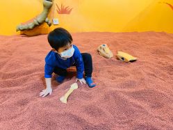 -北京科学中心儿童乐园