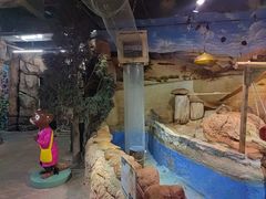 -正佳雨林生态植物园