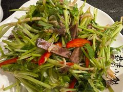 -燕青小馆(东园大厦店)