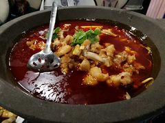 石锅牛蛙-虎虎龙虾大排档(双井店)