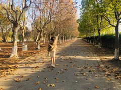 -华东政法大学(松江校区)