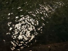 -唐风温泉