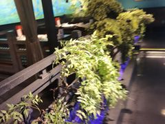 -東大方(武康千秋广场店)