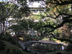 -香港大学
