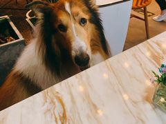 -the rug 飞毯 (朝阳公园店)