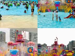 -海合安成都极地海洋公园