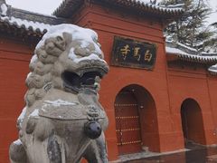 -洛阳白马寺