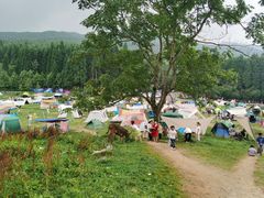 -武陵山森林公园