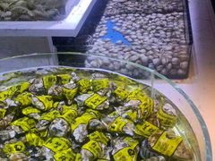 -聚盛源蒸汽海鲜火锅烤肉自助(巨川金海岸购物广场店)
