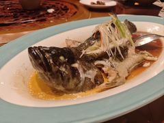 清蒸东星斑-潇湘甲鱼村(清河店)