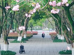 -重庆中央公园(渝北区)