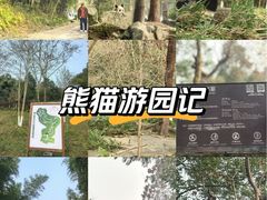 -都江堰中华大熊猫苑