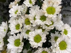 -优衣库(深圳万象天地旗舰店)