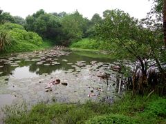 -白沙门生态公园