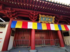 -新加坡佛牙寺龙华院