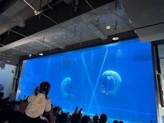 -芜湖新华联大白鲸海洋公园