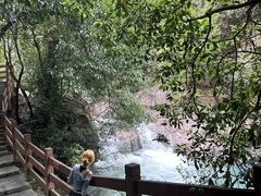 -广州白江湖森林公园