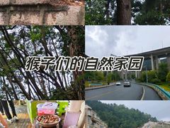 -黔灵山公园